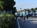 Tn dsc 6267